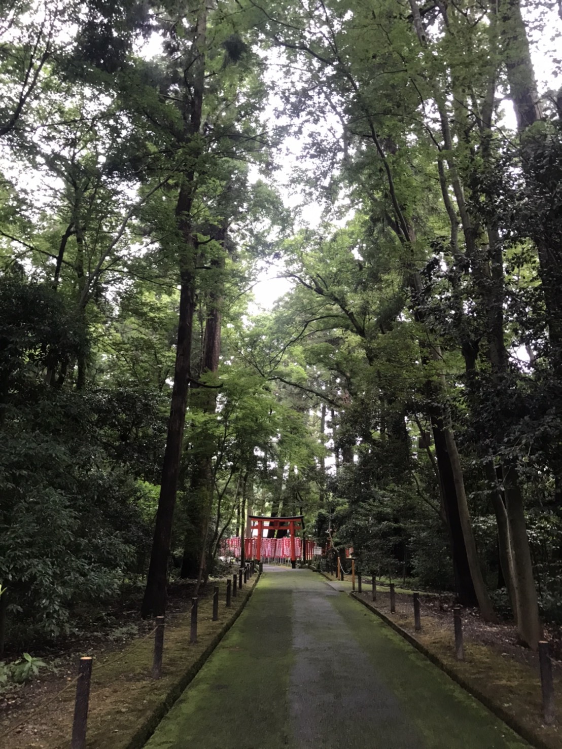 梅雨明け